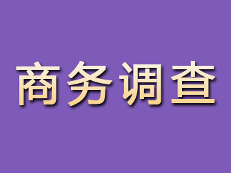 滦县商务调查